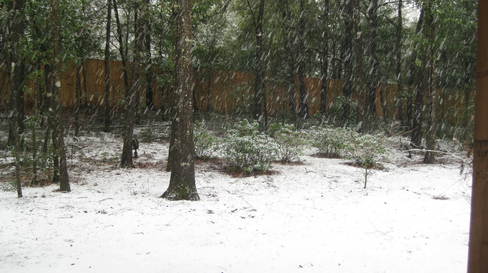 [snow+005.JPG]