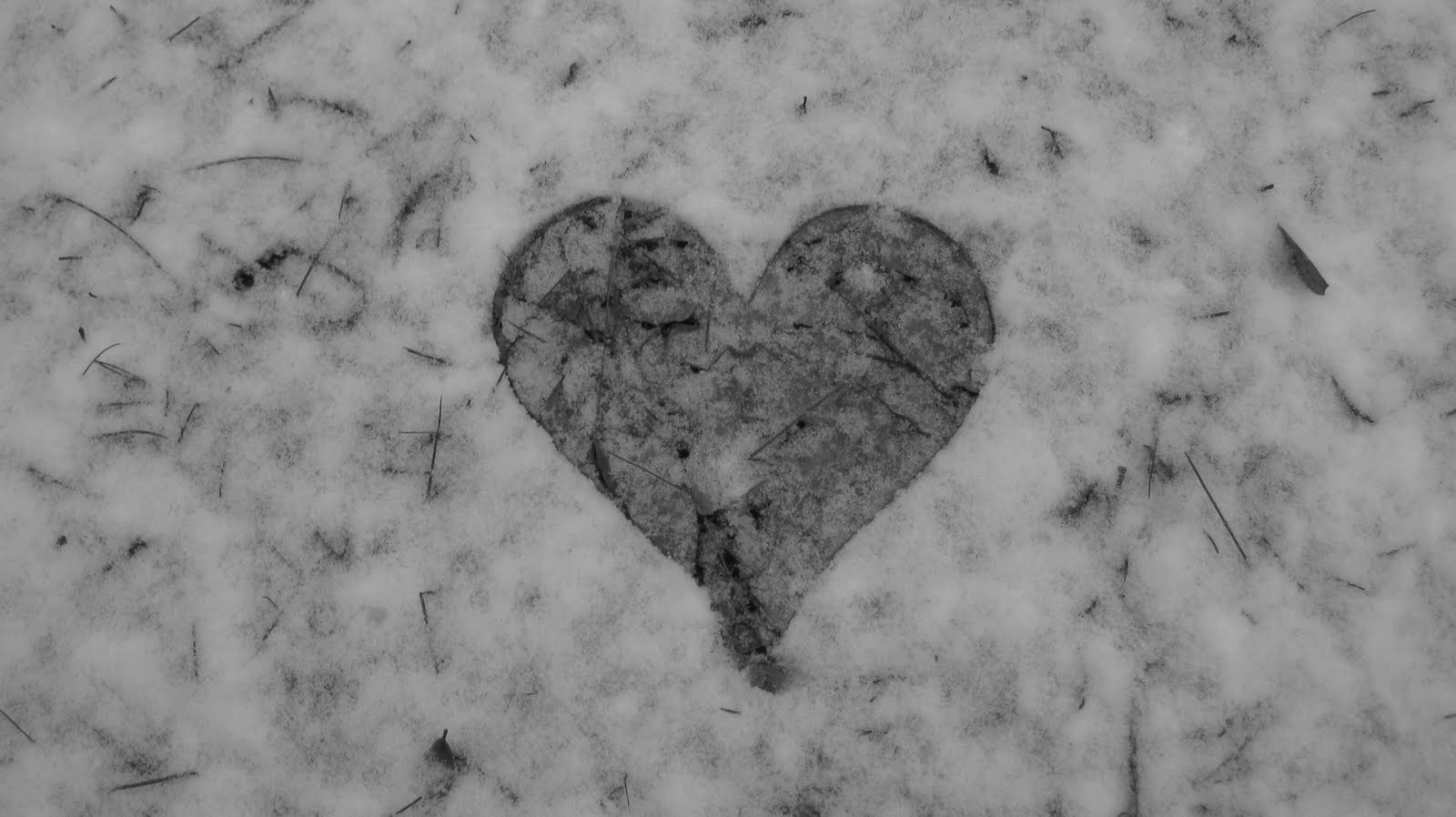 [snow+2.12.10+056.JPG]