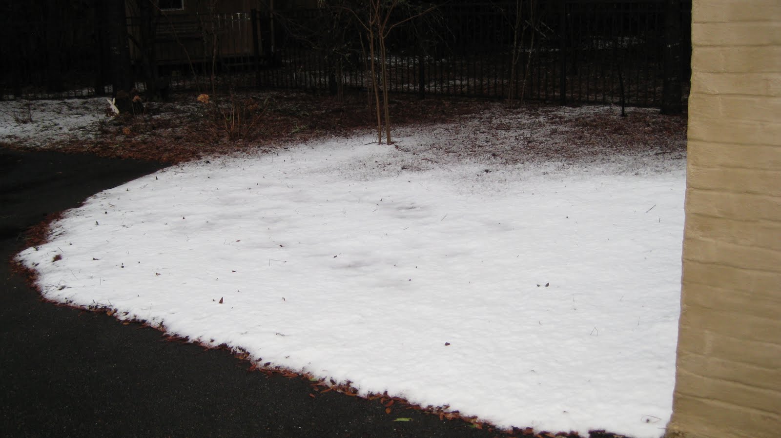 [snow+035.JPG]