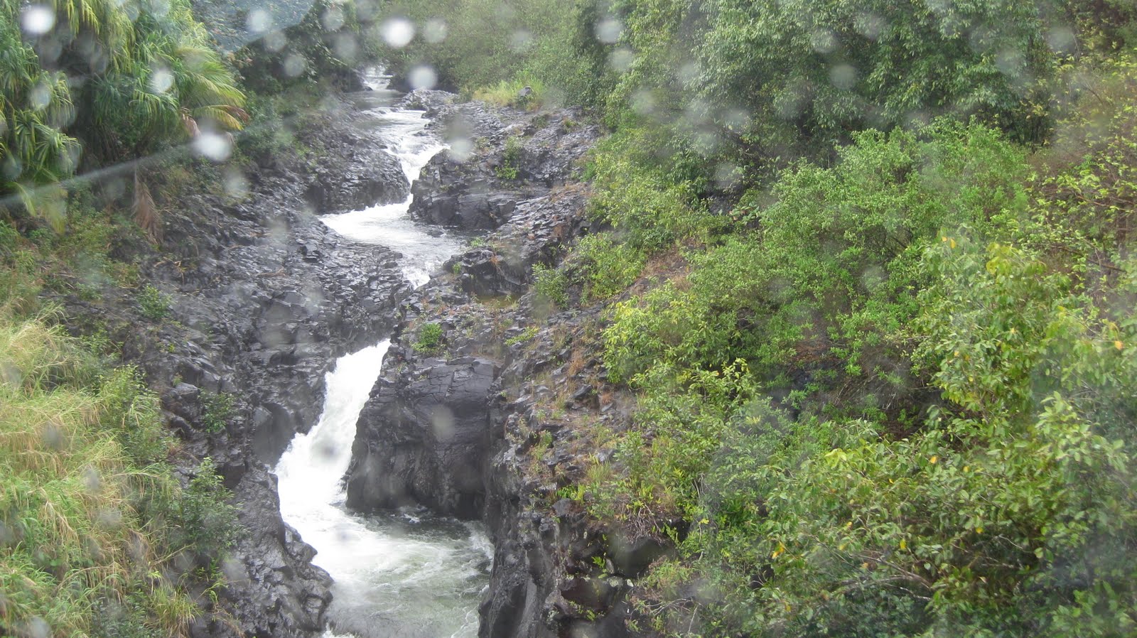 [maui+106.JPG]