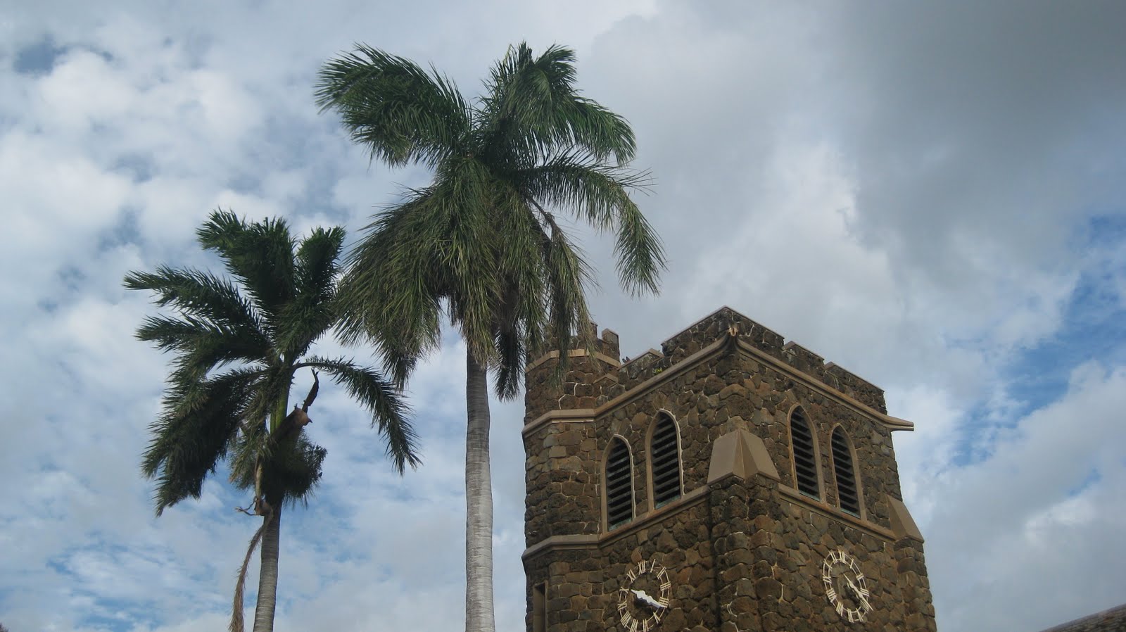 [MAUI++3-14-10+125.JPG]