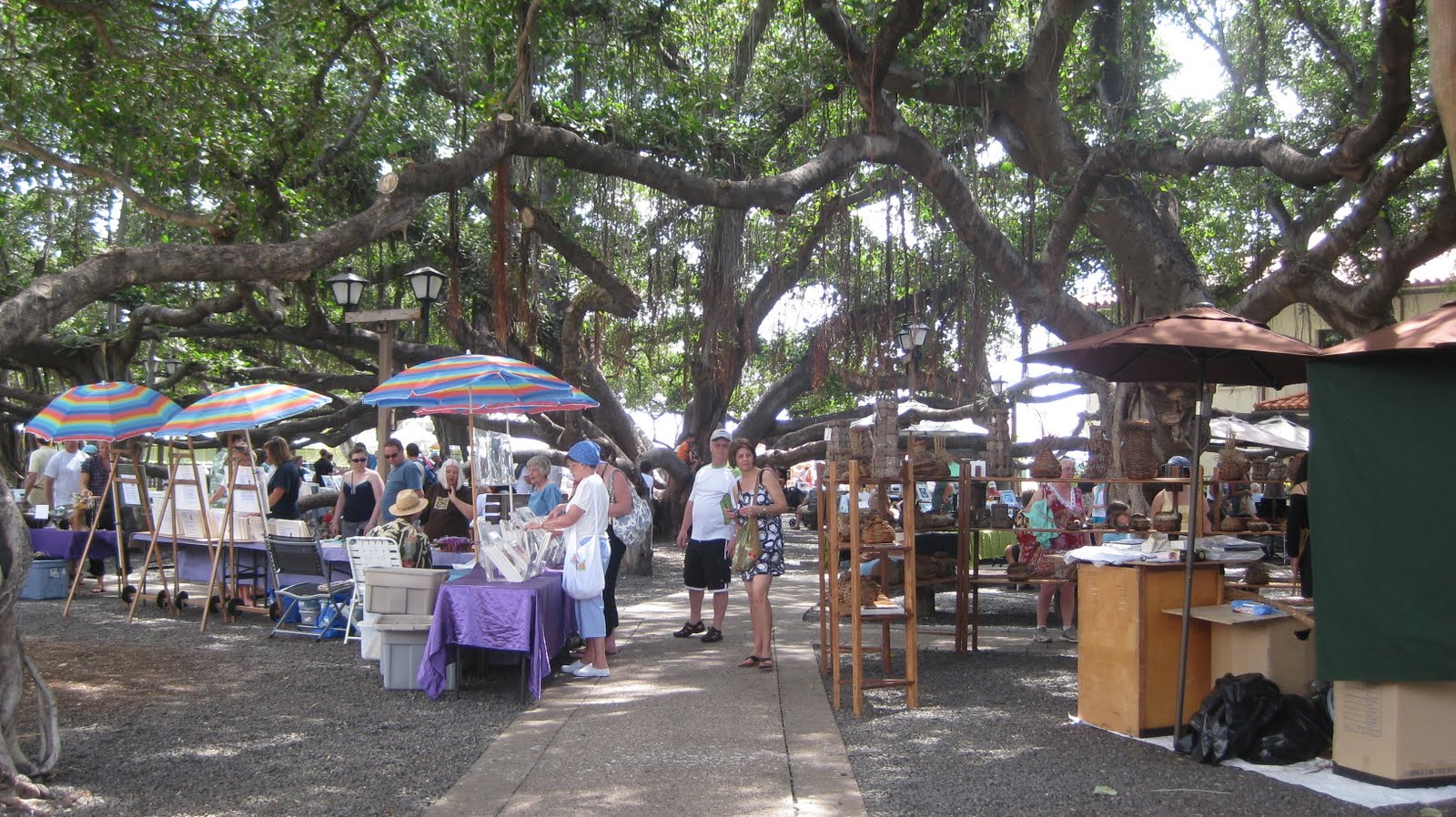 [MAUI++3-14-10+105.JPG]