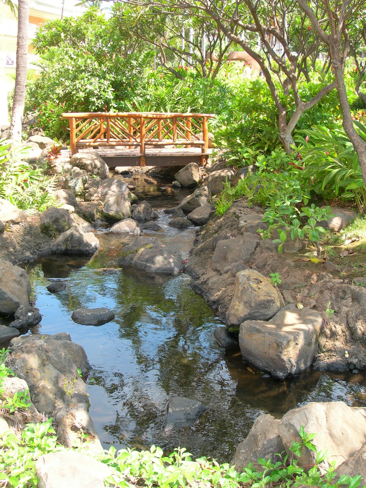 [DSCN1908.JPG]