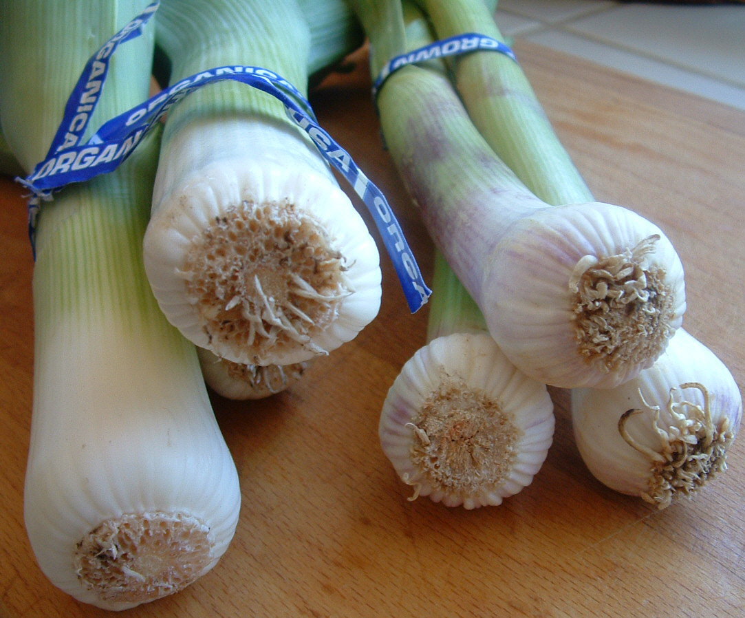 [Spring+Garlic+&+Leeks.jpg]