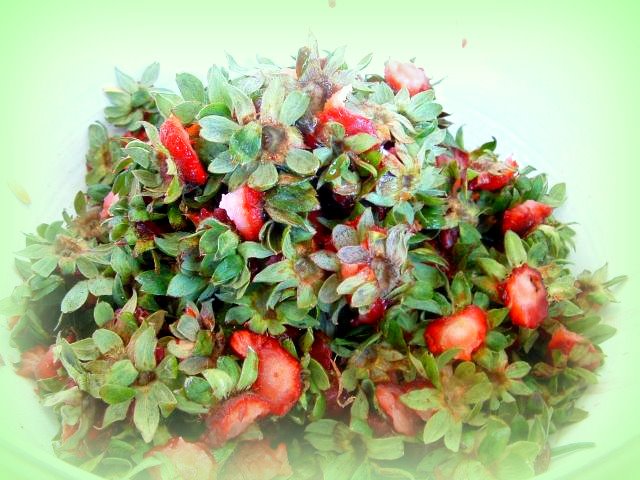 [strawberry+hulls.jpg]