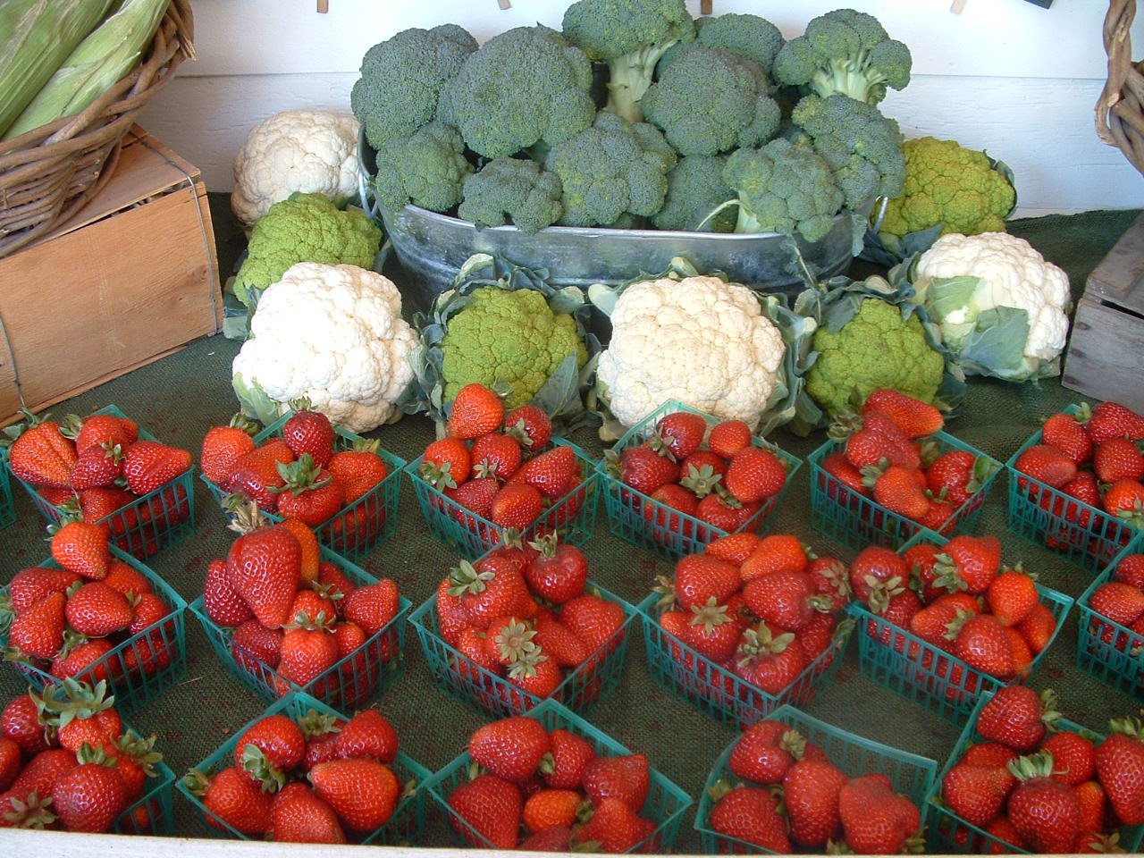 [Mass+Upload+077.jpg]