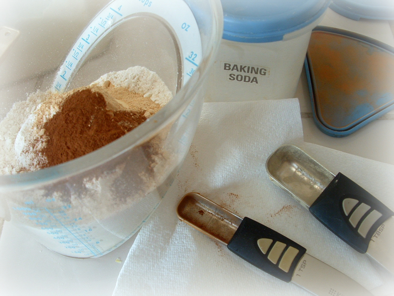 [Gingersnaps+053.jpg]