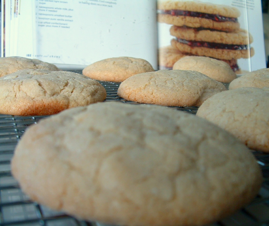 [Gingersnaps+011.jpg]