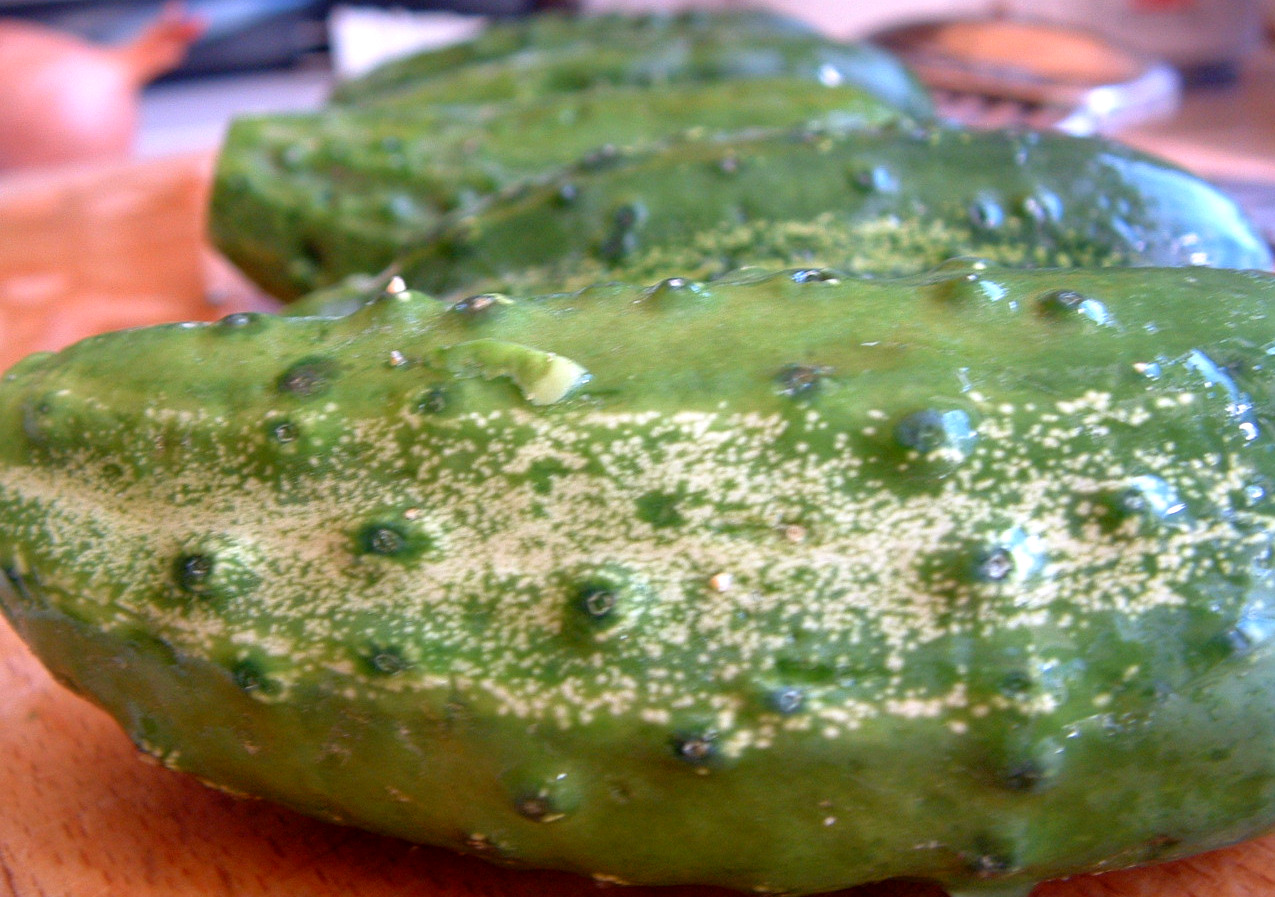 Bread and Butter Pickles Made Easy A Feast For The Eyes