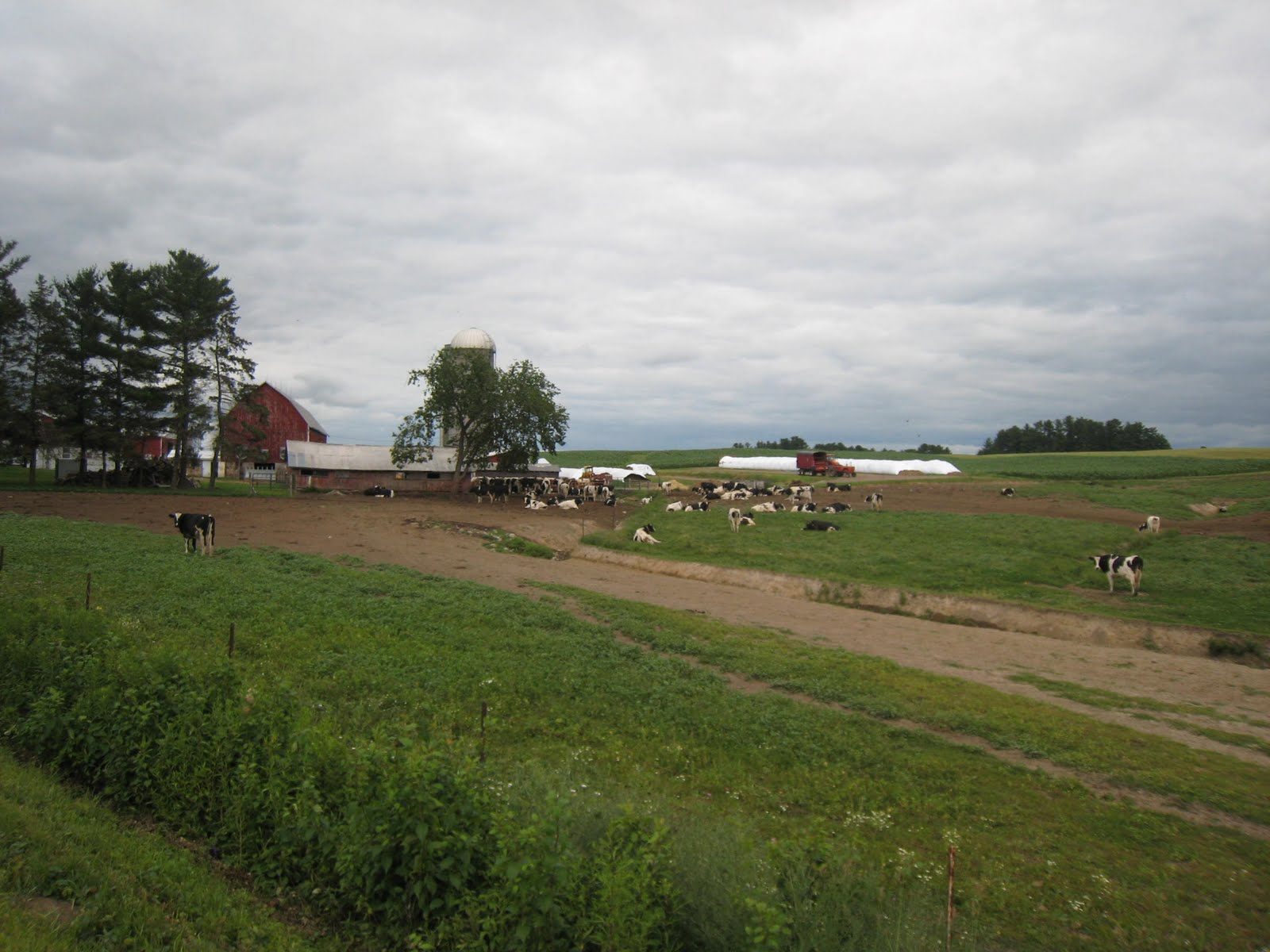 [IMG_5009.JPG]