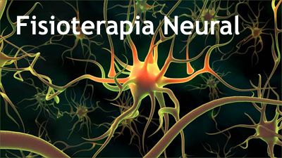 Fisioterapia Neural