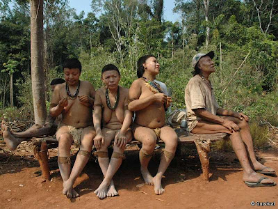 brazil rainforest tribes
