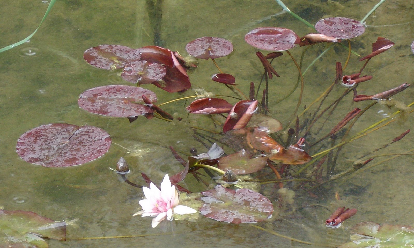 [DSC09554.JPG]