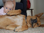 Adele and Dargo