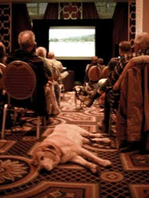 The lobby of the Hotel Monaco during the film screening