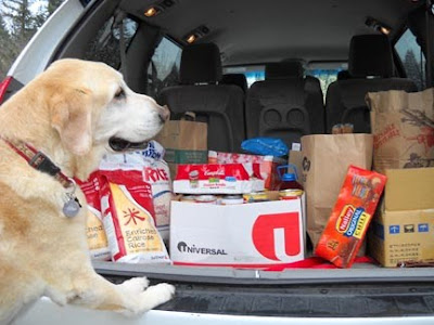Hector eyes a load of groceries destined for the food drive