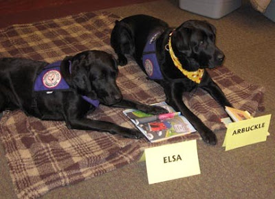 Elsa and Arbuckle at the library