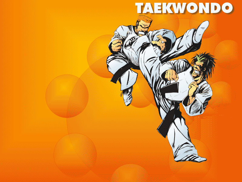 [taekwondo_sp_05.gif]