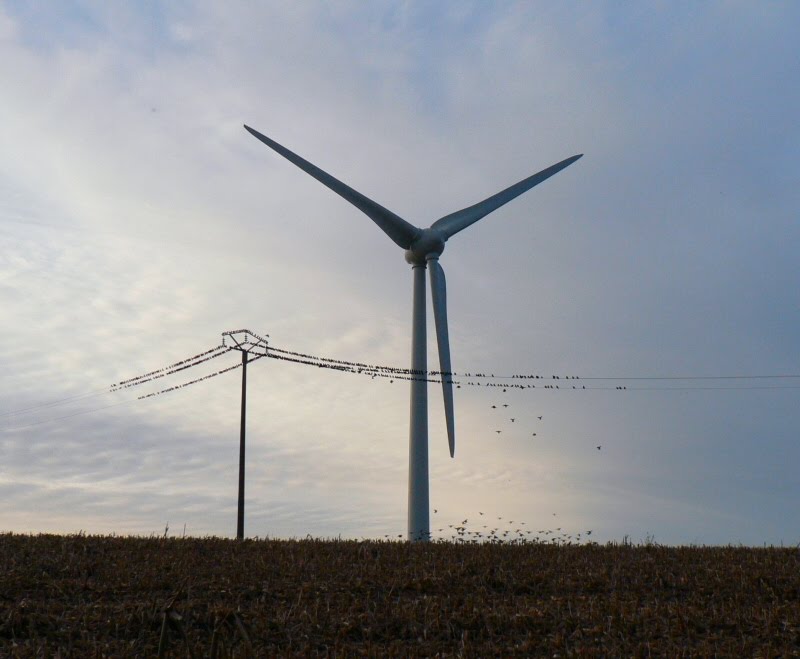 Eolienne ENERCOM E70 Eolienne ENERCOM E70
