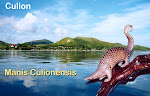 Endemic Species of Culion