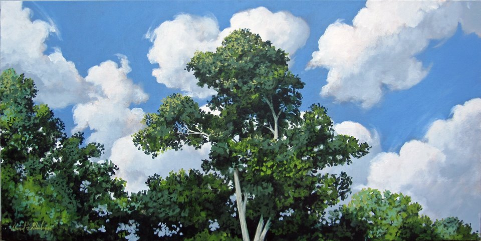 [Trees&CloudsEMail02.jpg]