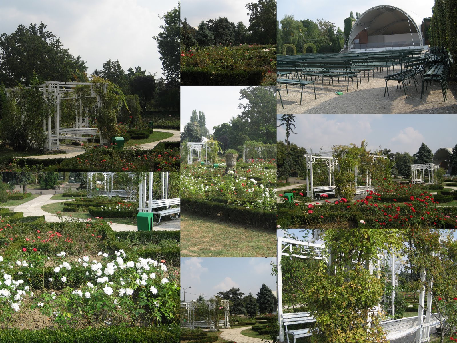 [Timisoara+septembrie+20092.jpg]