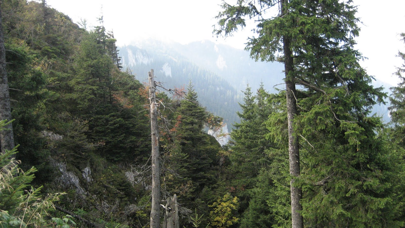 [Piatra+Mare+031.jpg]