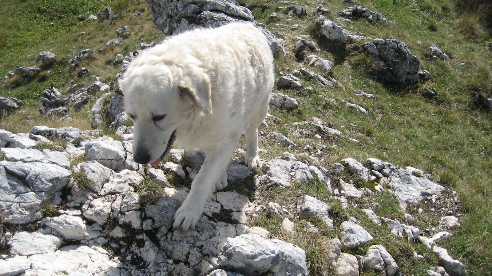 [Piatra+Mare+060.jpg]