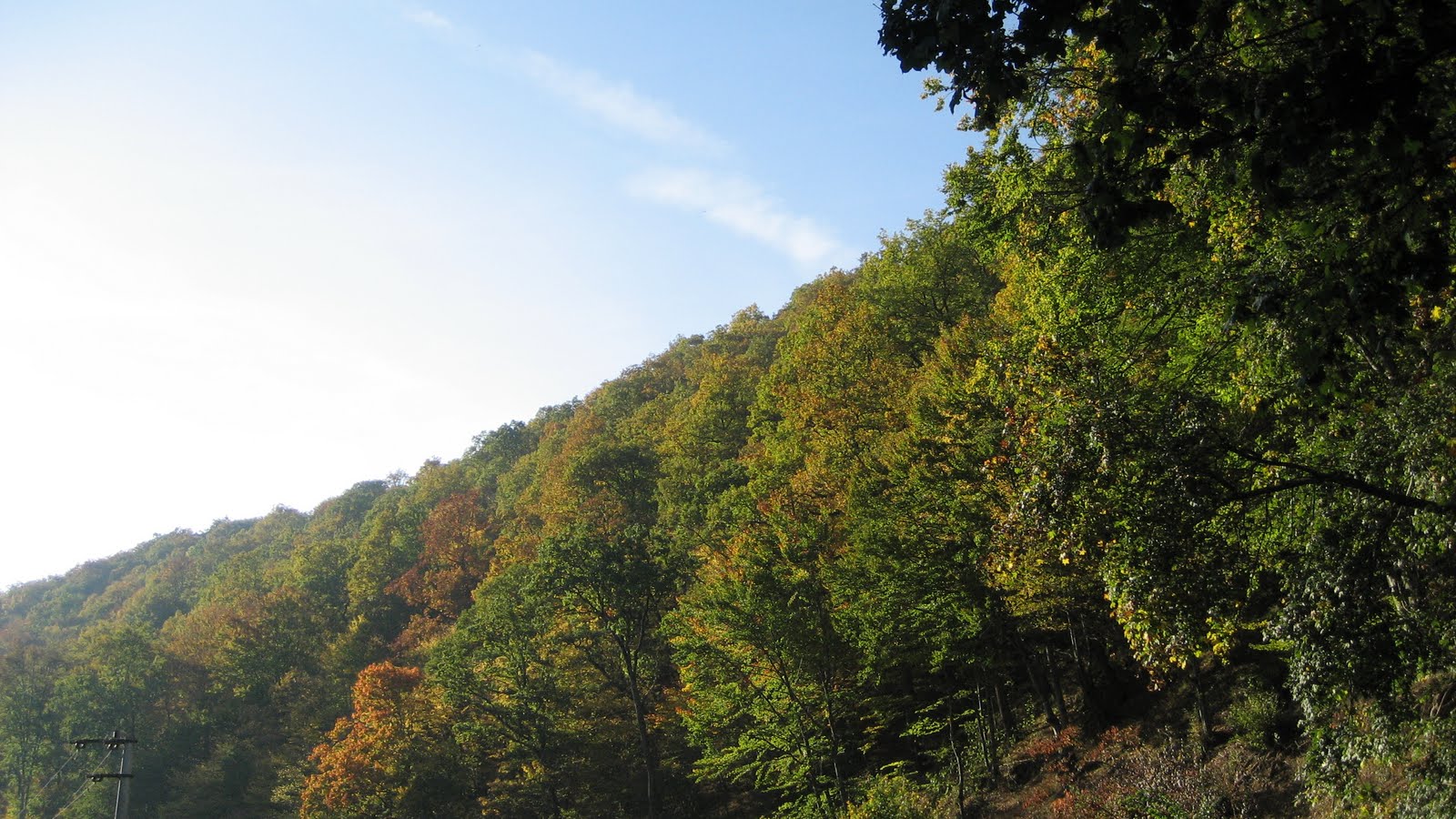 [IMG_0732.JPG]