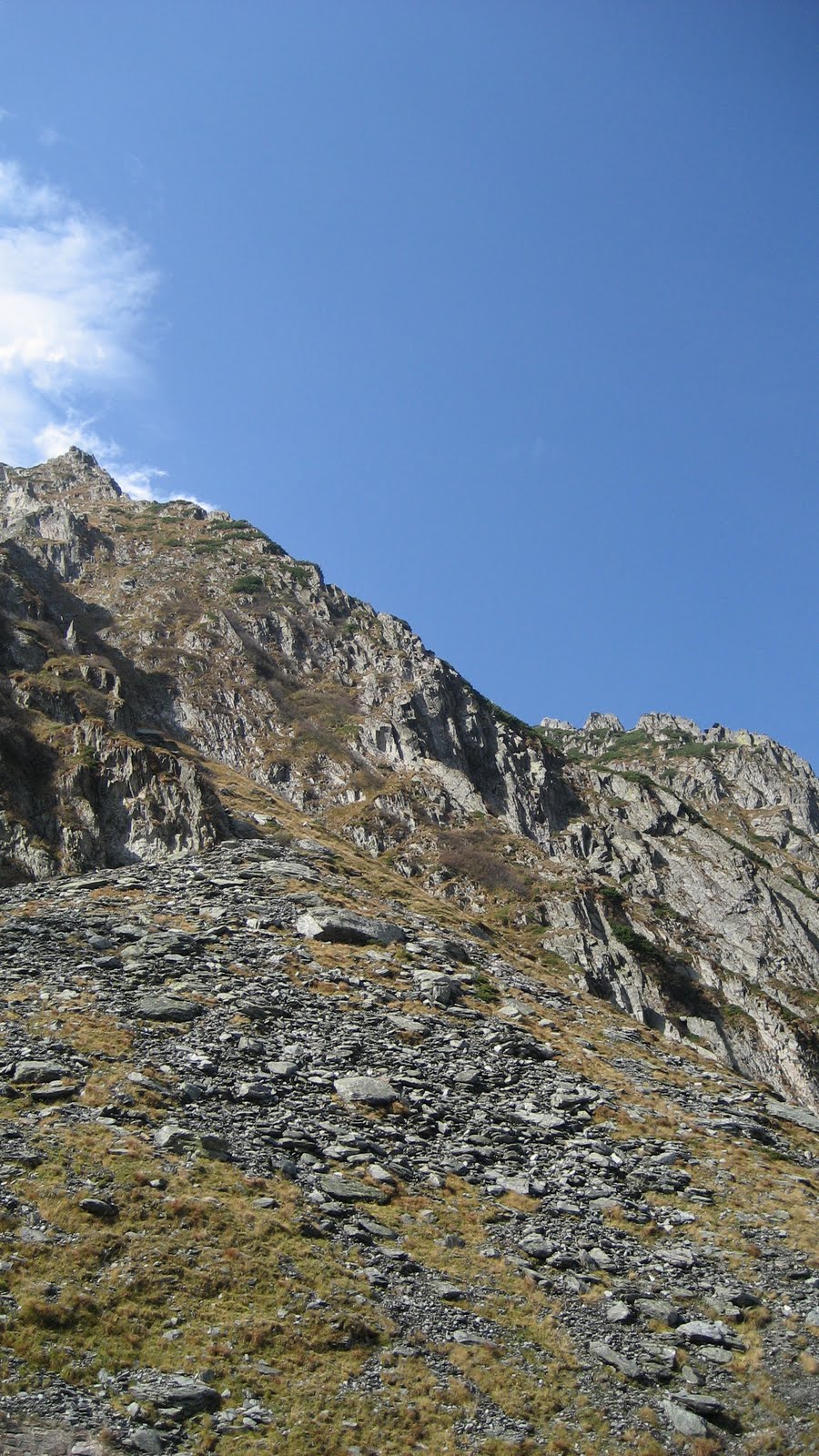 [IMG_0740.JPG]