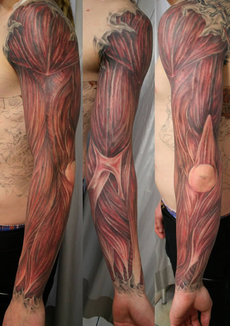Arm muscles tattoo Link Vein tattoo Link 