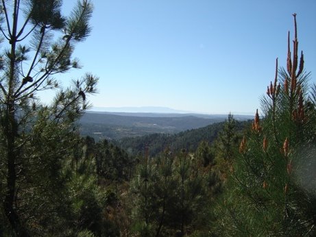 [DSC02633.JPG]