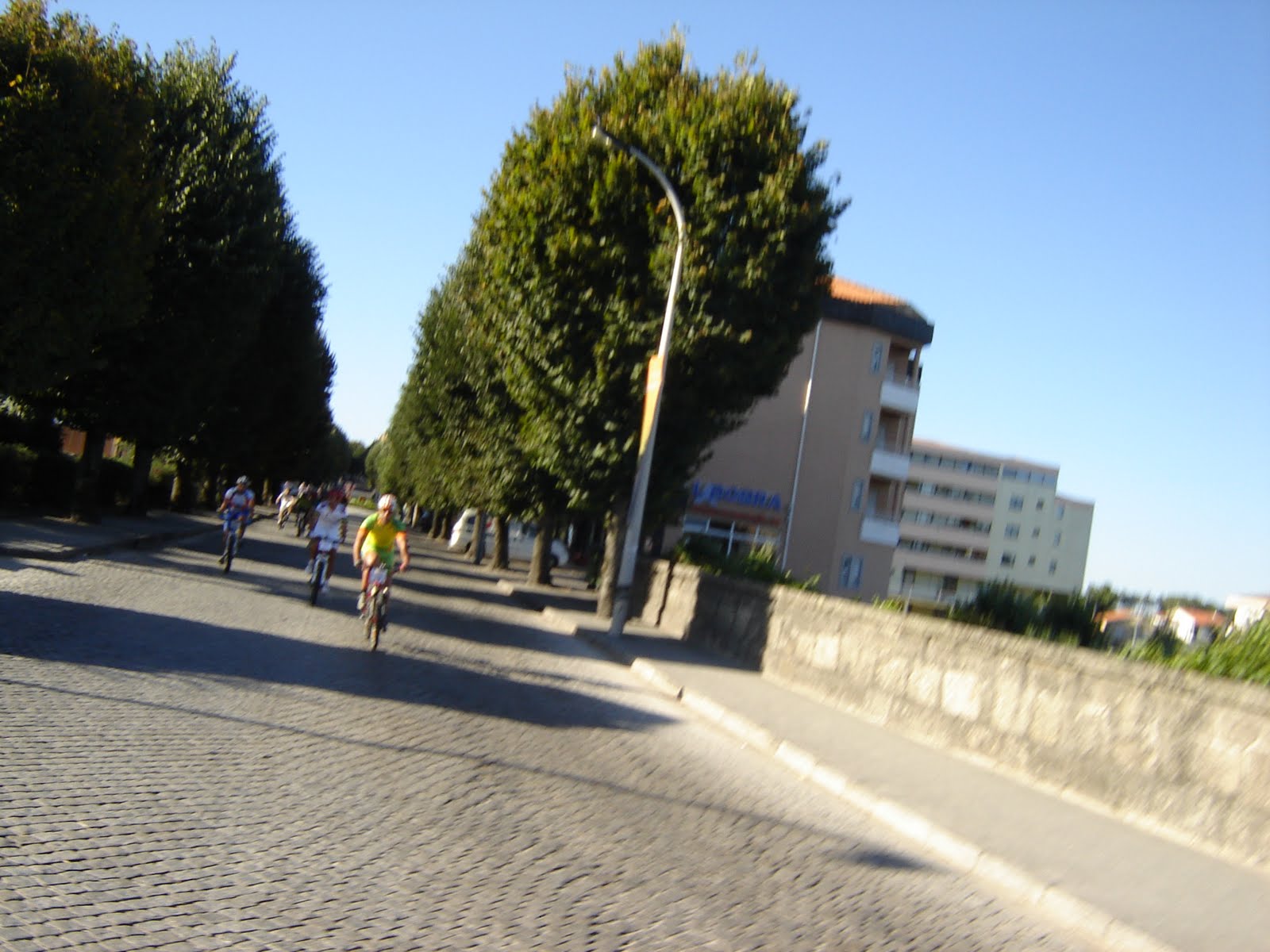 [DSC04727.JPG]