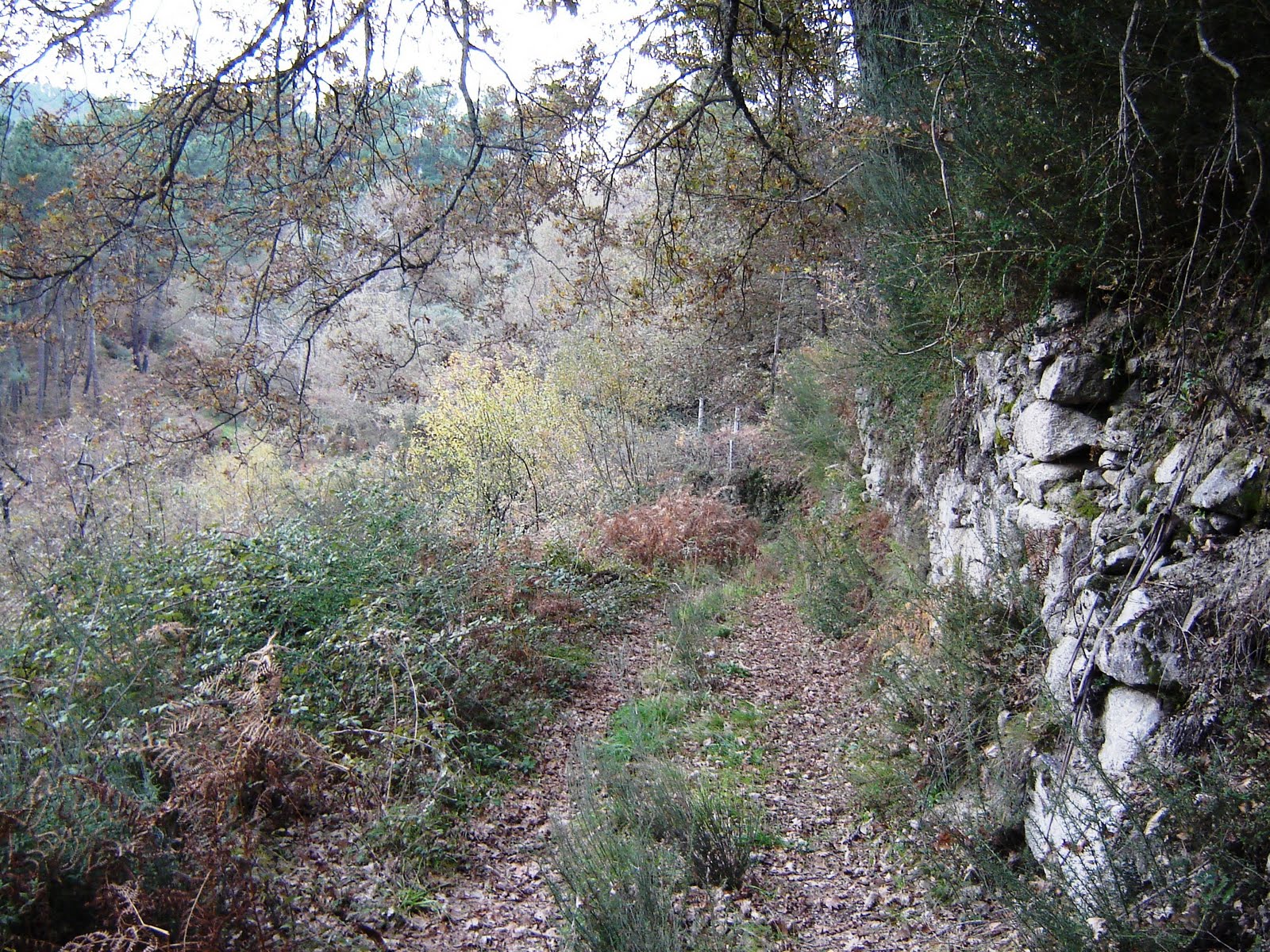 [DSC05472.JPG]