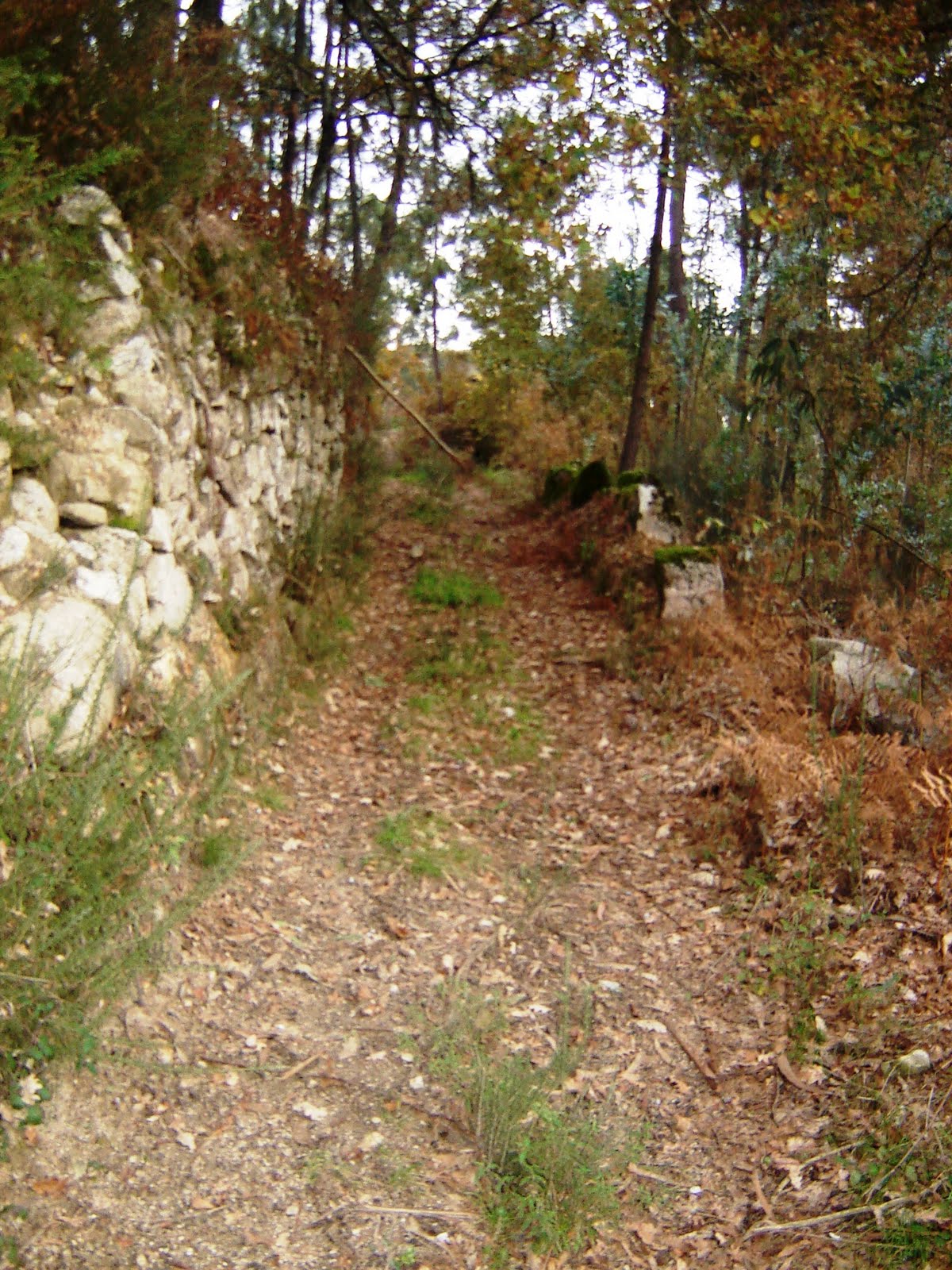 [DSC05474.JPG]