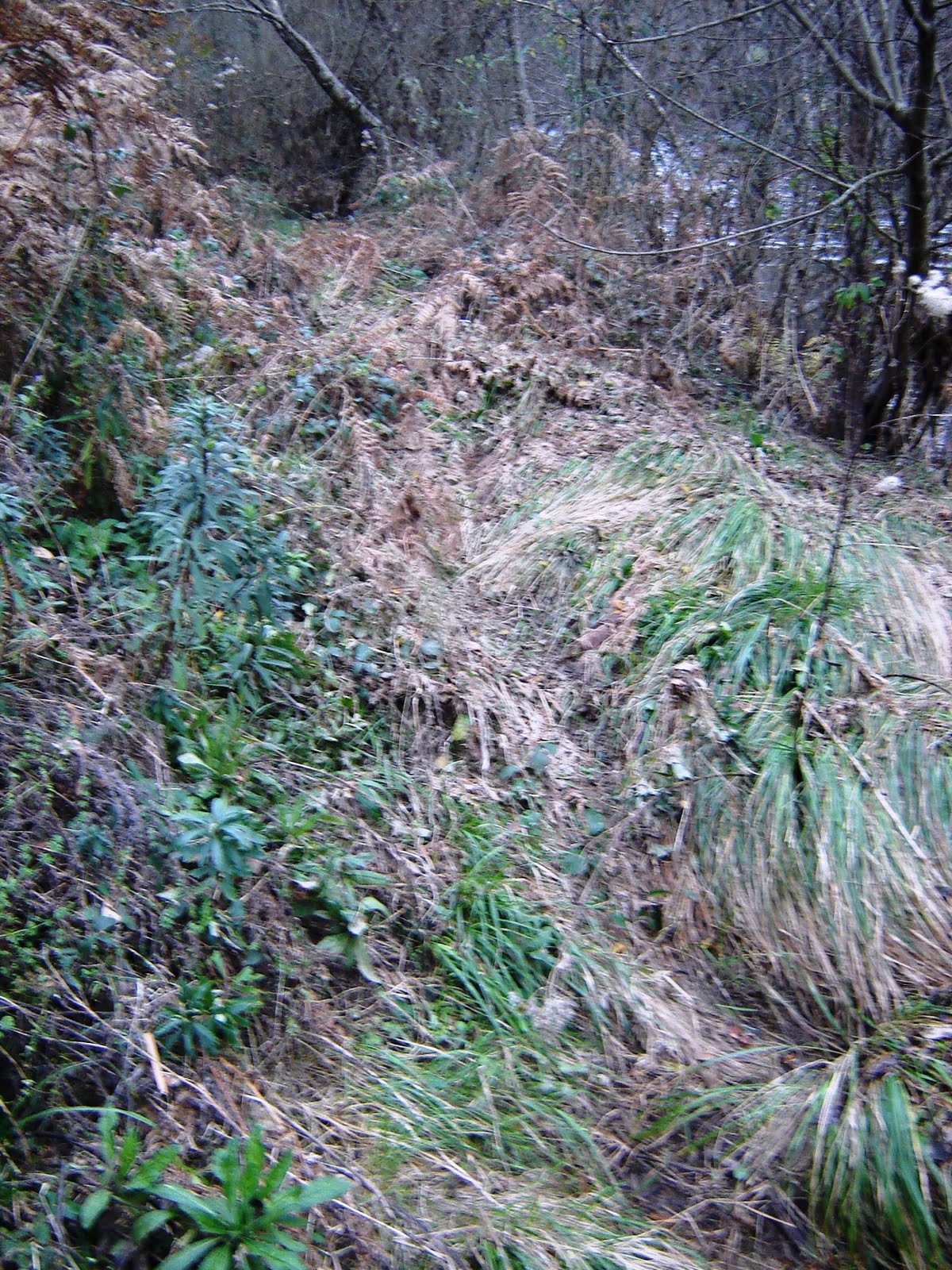 [DSC05469.JPG]
