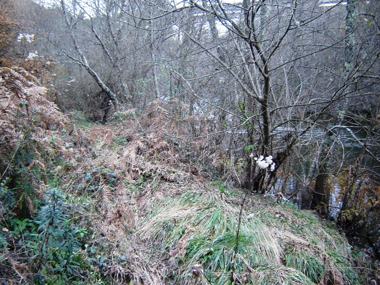 [DSC05470.JPG]