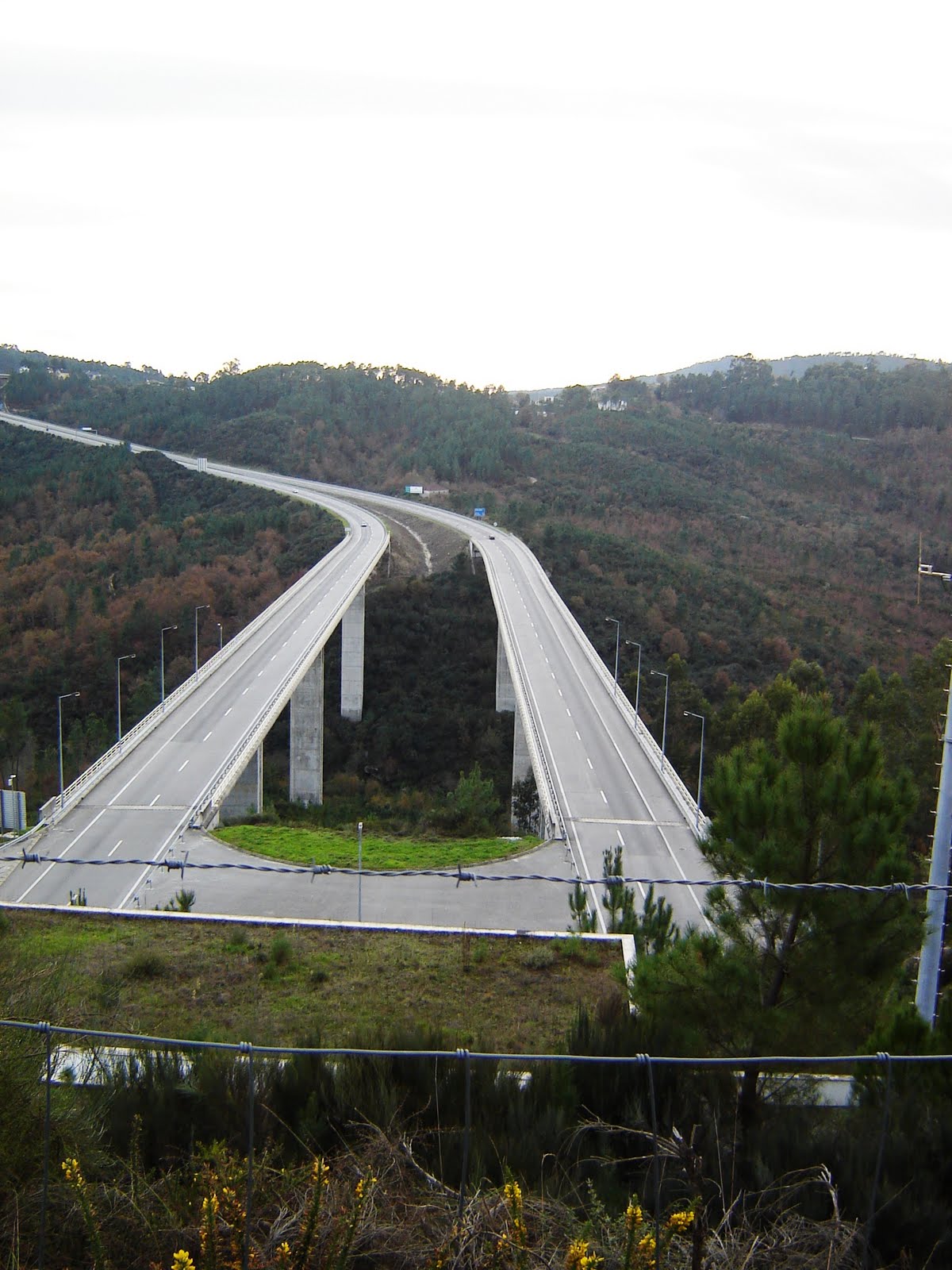 [DSC05454.JPG]