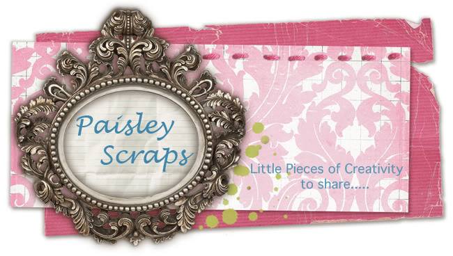 Paisley Scraps