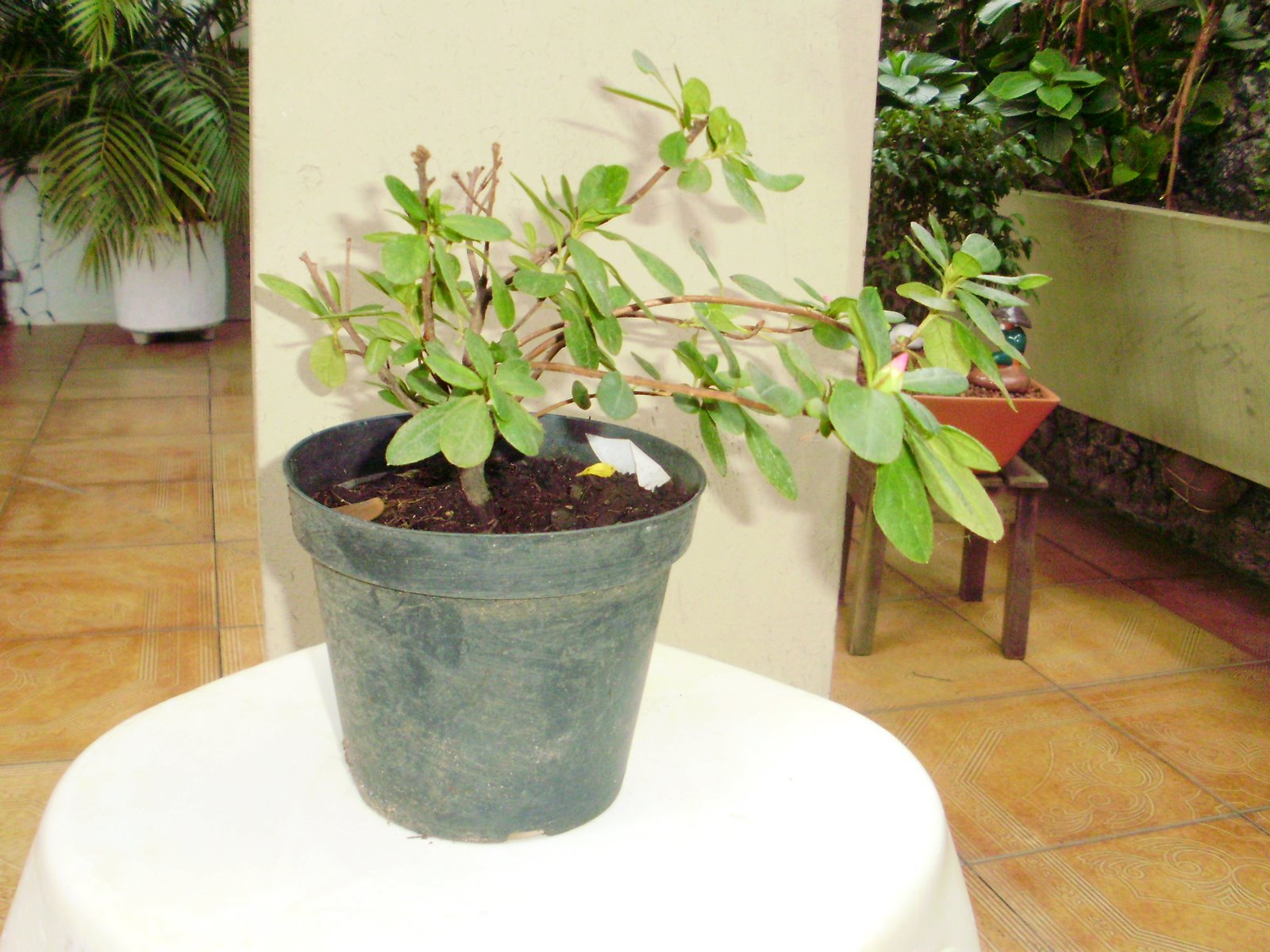 [PC300165.JPG]
