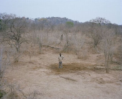 gajah zimbabwe