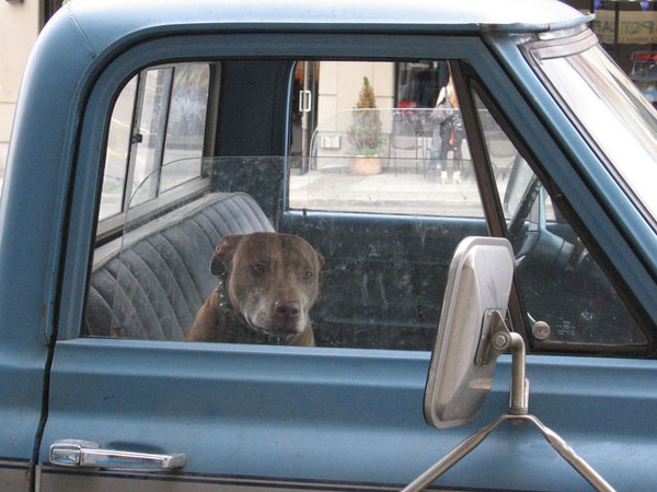 [08_car_alarm_system.jpg]
