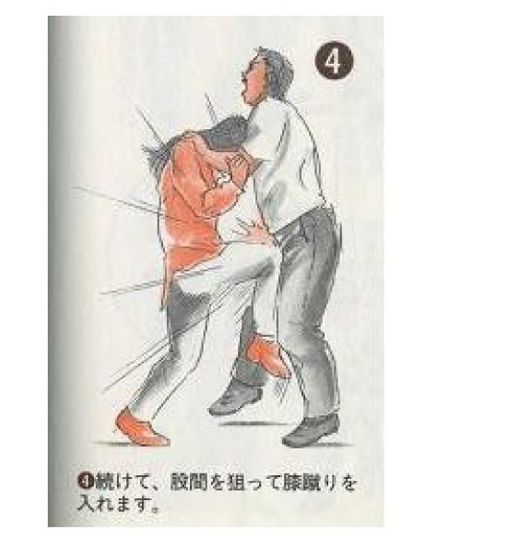 [japan_03.jpg]