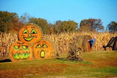 [Farm_Art_23.jpg]