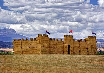[Farm_Art_22.jpg]