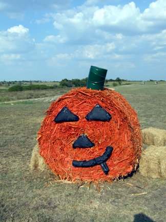 [Farm_Art_03.jpg]