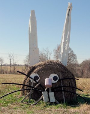 [Farm_Art_17.jpg]
