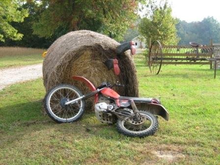 [Farm_Art_02.jpg]