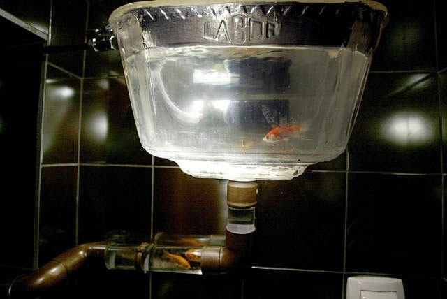 [Strange_Toilets_31.jpg]