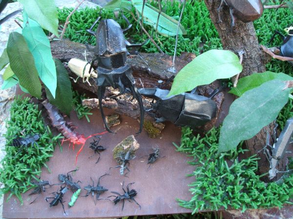 [insect_origami_44.jpg]